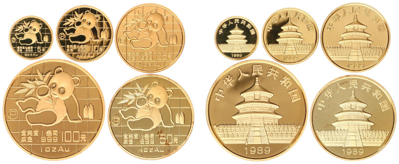 China - People's Republic - Panda - Gold Proofset 1989 - Panda Series cont. 5, 1...