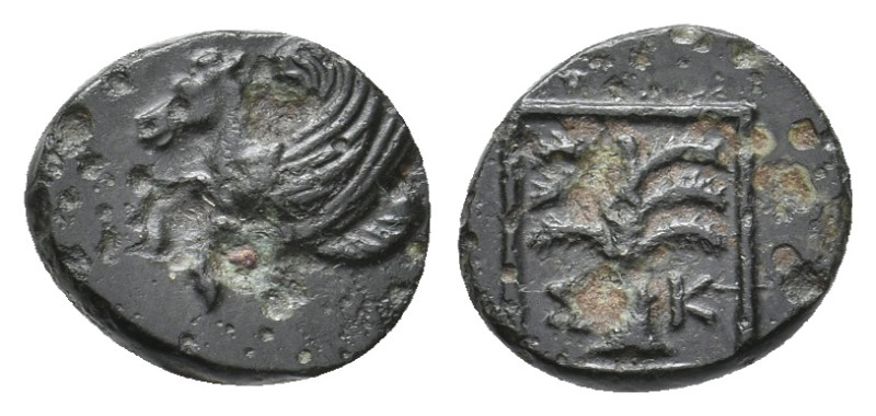 TROAS. Skepsis. (4th-3rd centuries BC). Ae. 1 g. 10.80 mm.