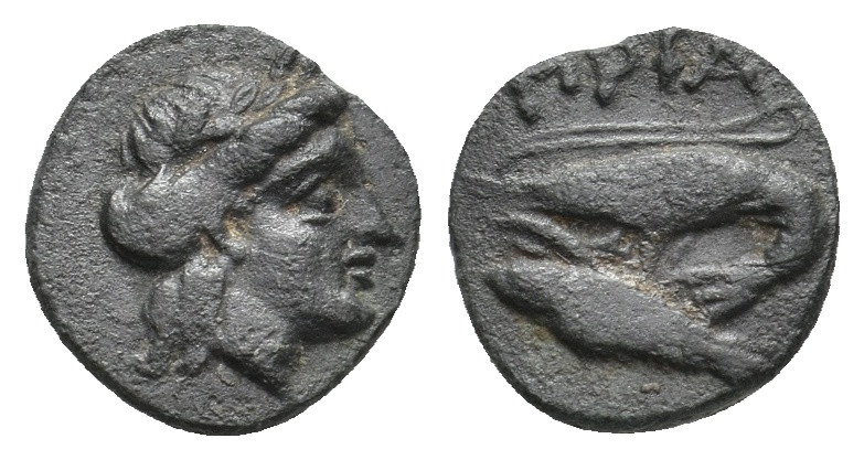 MYSIA. Priapos. (4th-3rd centuries BC). Ae. 0.89 g. 10.70 mm.