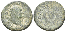 TITUS, 79-81 AD. AE, Dupondius. Rome. 13.03 g. 28.60 mm.