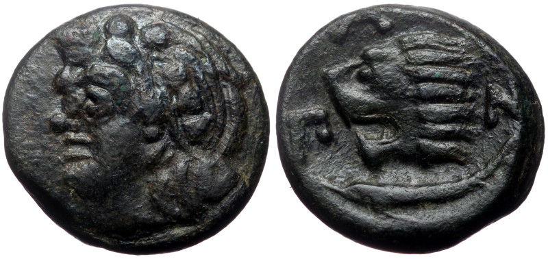 Cimmerian Bosporos, Pantikapaion AE (Bronze, 20mm, 6.83g) ca 310-304/3 BC. Cimme...