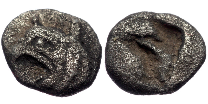 Ionia, Phokaia, AR obol (Silver, 8,2 mm, 0,66 g), ca. 521-478 BC. Ionia, Phokaia...