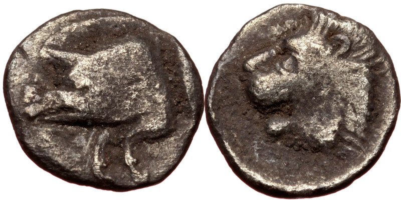 Mysia, Kyzikos, AR obol (silver, 0,32 g, 9 mm) c. 450-400 BC Obv: Forepart of bo...