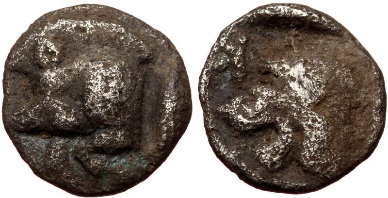 Mysia, Kyzikos, AR Obol (silver, 0,77 g, 9 mm) c. 480-450 BC Obv: Head of roarin...