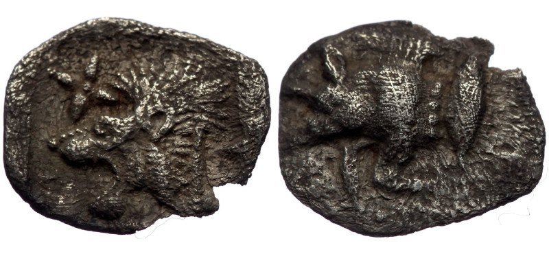 Mysia, Cyzicus, AR hemiobol (Silver, 10,0 mm, 0,30 g), 5th century BC. Mysia, Cy...