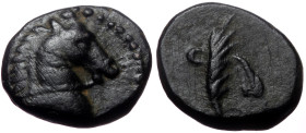 Cappadocia, Caesarea Eusebeia, AE (Bronze, 12mm, 1.69g), 36-17 BC, during times of magistrate Archelaus?