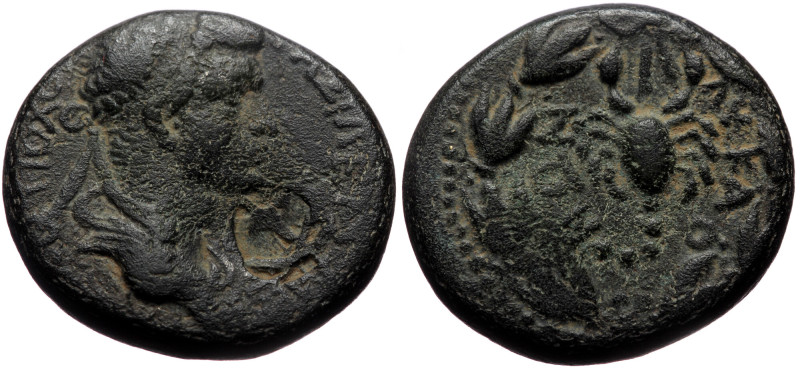 Kings of Commagene, Antiochos IV Epiphanes (38-72), AE (Bronze, 23,9 mm, 17,71 g...