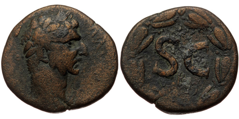 Syria, Antioch, AE (bronze, 12,00 g, 26 mm) Nerva (96-98) Obv: IMP CAESAR NERVA ...