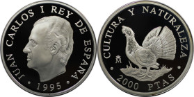Europäische Münzen und Medaillen, Spanien / Spain. Kultur und Natur - Auerhuhn. 2000 Pesetas 1995. 27,0 g. 0.925 Silber. 0.8 OZ. KM 953. Polierte Plat...