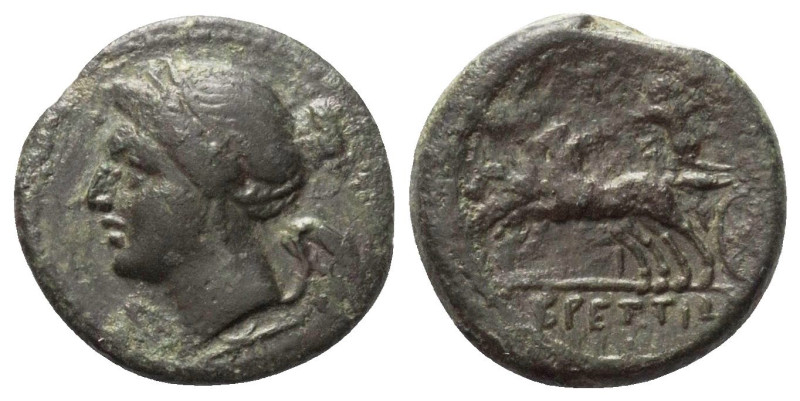 Bruttium. Brettii.

 Bronze. Ca. 211 - 208 v. Chr.
Vs: Kopf der Nike links.
...
