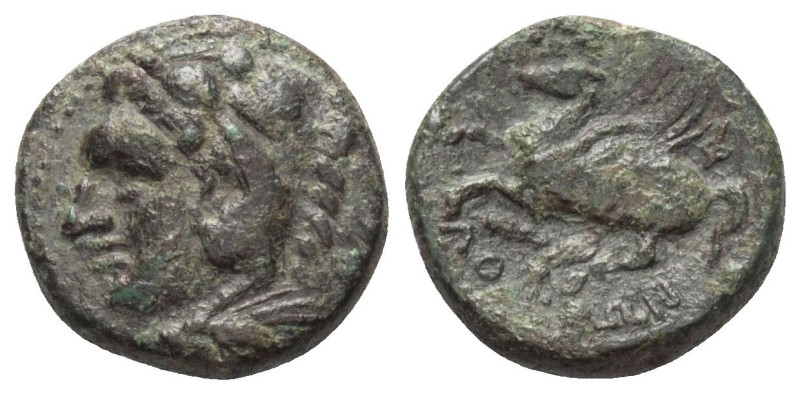 Bruttium. Lokroi Epizephyrioi.

 Bronze. Ca. 300 - 250 v. Chr.
Vs: Kopf des j...