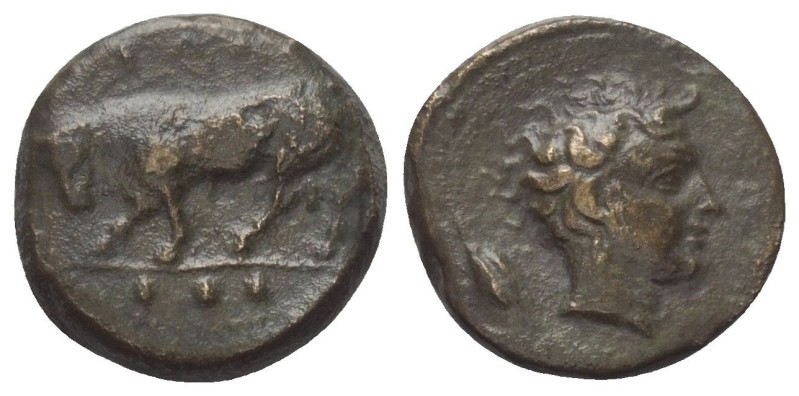Sizilien. Gela.

 Bronze (Trionkion). Ca. 420 - 405 v. Chr.
Vs: Stier nach li...