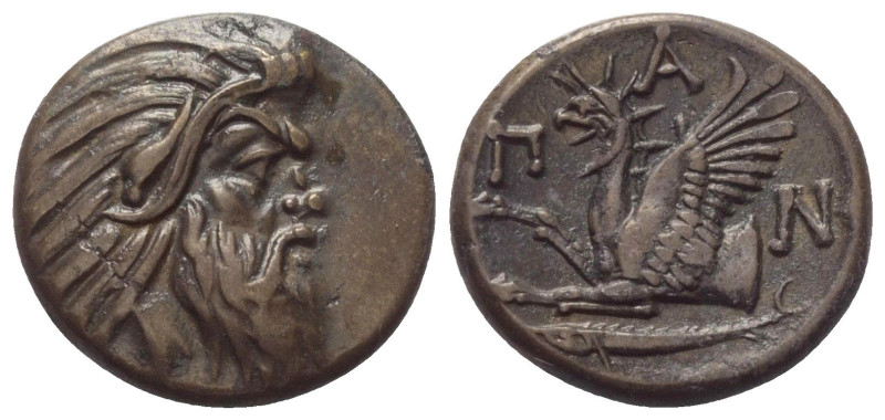 Taurischer Chersones. Pantikapaion.

 Bronze. Ca. 325 - 310 v. Chr.
Vs: Kopf ...