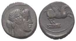 Q. Titius.

 Denar (Silber). 90 v. Chr. Rom.
Vs: Kopf des Bacchus (Liber) mit Efeukranz rechts.
Rs: Pegasus nach rechts springend, darunter Basis ...