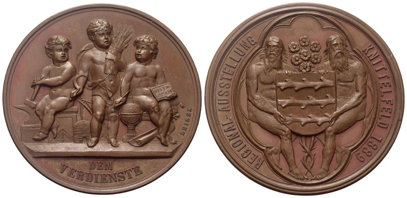 Habsburg und Österreich. Franz Joseph I. (1848 - 1916).

 Medaille (Bronze). 1...