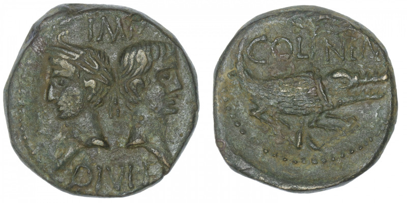 EMPIRE ROMAIN
Auguste (27 av. J.-C. - 14 ap. J.-C.). Dupondius ou As de Nîmes N...