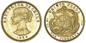CHILI
République. 20 pesos 1926, Santiago. Fr.56 ; Or - 4,07 g - 18 mm - 6 h
Superbe.