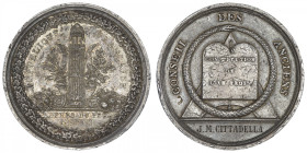 FRANCE
Directoire (1795-1799). Médaille, Conseil des Anciens 1798. H.845 ; Argent - 67,90 g - 50,5 mm - 12 h
Rarissime en argent. Exemplaire ayant d...