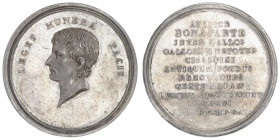 FRANCE
Consulat (1799-1804). Médaille, constitution à Lyon de la république italienne An X, Lyon. Br.192 ; Argent - 50,47 g - 48 mm - 12 h
Rare. TTB...
