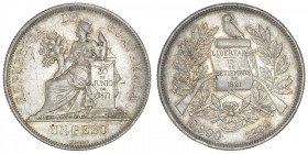 GUATEMALA
République. Un peso 1894. KM.210 ; Argent - 24,65 g - 37 mm - 6 h
Reste de brillant. Beau TTB.