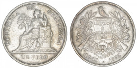 GUATEMALA
République. Un peso 1895, H, Heaton. KM.210 ; Argent - 24,84 g - 37 mm - 6 h
TB à TTB.