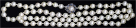 Colliers und Halsketten
Perlencollier aus 79 Akoyaperlen, Verschluss Weißgold 585/1000, besetzt mit einer Perle und 7 Saphiren. Länge ca. 70 cm.
