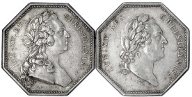 Frankreich
Ludwig XV., 1715-1774
2 achteckige Silberjetons: 1769 und 1773 von Duviviers. Comitia Flandriae Wallonensis. Je 33 mm; 15,11 und 16,39 g....