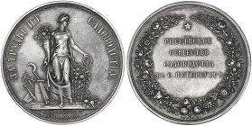 Russland
Alexander II., 1855-1881
Silbermedaille o.J. von Nikonov. Preis der Russischen Gesellschaft für Gartenarbeit. 37 mm; 22,88 g. vorzüglich, s...