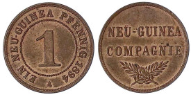 Deutsch-Neuguinea
Neuguinea Compagnie
1 Neuguinea Pfennig 1894 A. fast Stempelglanz, selten in dieser Erhaltung. Jaeger 701.