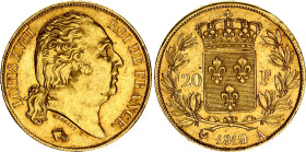 France 20 Francs 1819 A
KM# 712.1, N# 7366; Gold (.900) 6.45 g.; Louis XVIII, AU-UNC, full mint luster, rare condition.