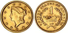 United States 1 Dollar 1853
KM# 73, N# 6157; Gold (.900) 1.67 g.; "Liberty Head"; Philadelphia Mint; XF-AUNC