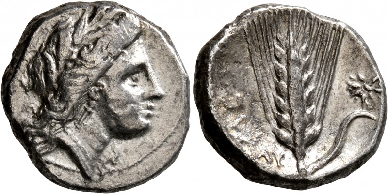 LUCANIA. Metapontion. Circa 330-290 BC. Didrachm or Nomos (Silver, 20 mm, 7.63 g...