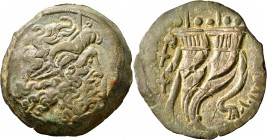PTOLEMAIC KINGS OF EGYPT. Ptolemy VIII Euergetes II (Physcon), second reign, 145-116 BC. Drachm (Bronze, 46 mm, 67.60 g, 12 h), Kyrene. Diademed head ...