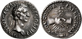 Nerva, 96-98. Denarius (Silver, 18 mm, 3.46 g, 7 h), Rome, 96. IMP NERVA CAES AVG P M TR P COS II P P Laureate head of Nerva to right. Rev. CONCORDIA ...