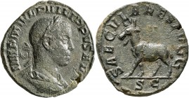 Philip II, 247-249. Sestertius (Orichalcum, 29 mm, 18.13 g, 6 h), Rome, 248. IMP M IVL PHILIPPVS AVG Laureate, draped and cuirassed bust of Philip II ...
