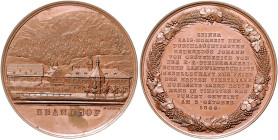 RDR - Österreich - Steiermark Bronzemedaille 1844 (v. Lange) auf das 25-jährige Bestehen der k.k. steiermärkischen Landwirtschaftsgesellschaft, dem Er...