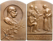 Erster Weltkrieg Bronzeplakette 1916 (v. Kautsch) Franz Joseph I. / MILITANTIVM NECESSITATIBVS. Hauser 941. 
38x60mm 69,1g f.st