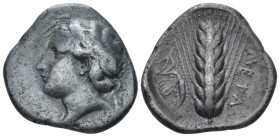 Lucania, Metapontum Nomos circa 380-340