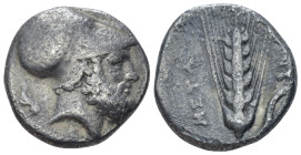 Lucania, Metapontum Nomos circa 340-330