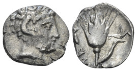 Lucania, Metapontum Diobol Last quarter IV century