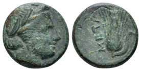 Lucania, Metapontum Bronze first quarter to mid III century
