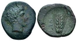 Lucania, Metapontum Bronze Last quarter IV century
