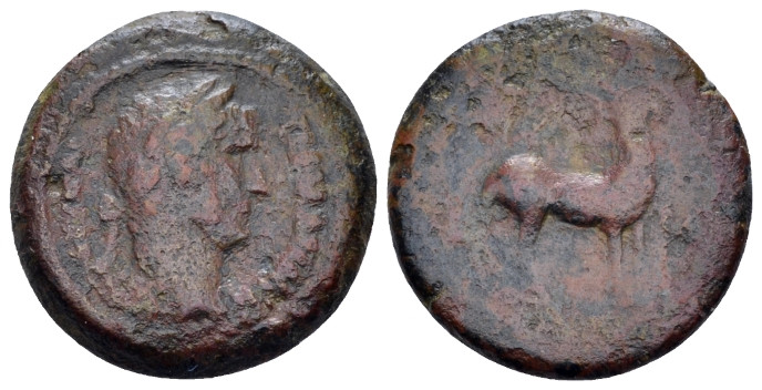 Egypt, Alexandria Hadrian, 117-138 Obol circa 126-127 (year 11), Æ 19.00 mm., 4....