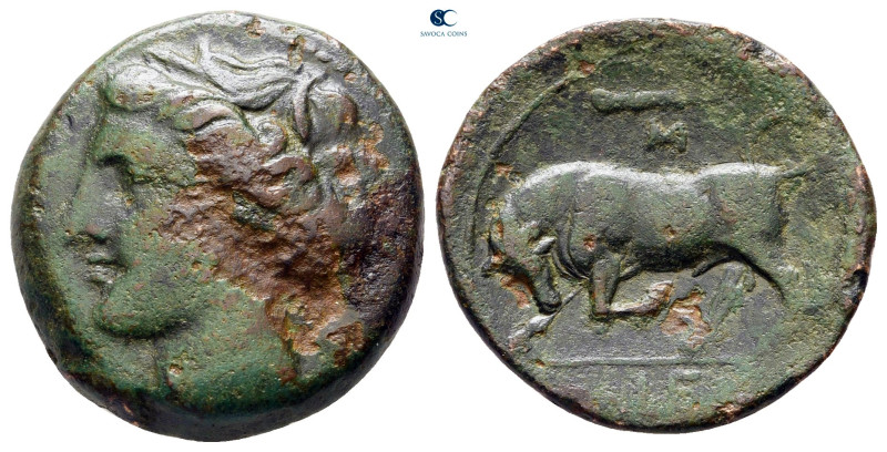 Sicily. Syracuse. Hieron II 275-215 BC. 
Bronze Æ

20 mm, 5,07 g



very ...