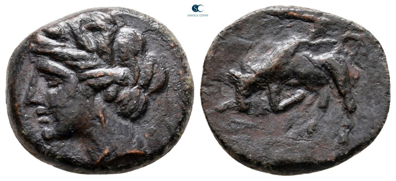 Sicily. Syracuse. Hieron II 275-215 BC. 
Bronze Æ

17 mm, 3,68 g



very ...