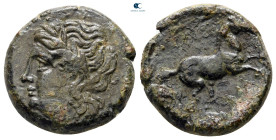Sicily. Syracuse circa 269-240 BC. Bronze Æ