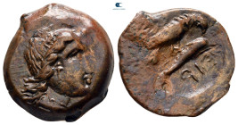 Scythia. Olbia circa 380-315 BC. Bronze Æ