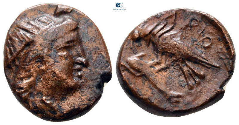 Scythia. Olbia circa 380-315 BC. 
Bronze Æ

17 mm, 3,90 g



very fine