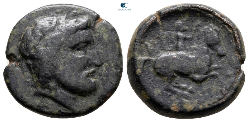 Thessaly. Krannon circa 350-300 BC. 
Bronze Æ

18 mm, 5,00 g



nearly ve...