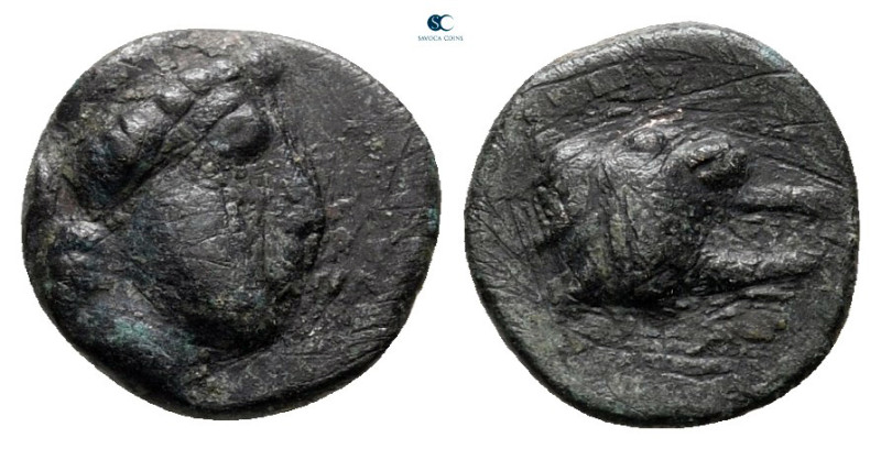 Argolis. Argos circa 400-370 BC. 
Bronze Æ

9 mm, 0,63 g



fine